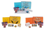 Pokemon Eevee Evolution Premium Gift Box (kinesiskt)