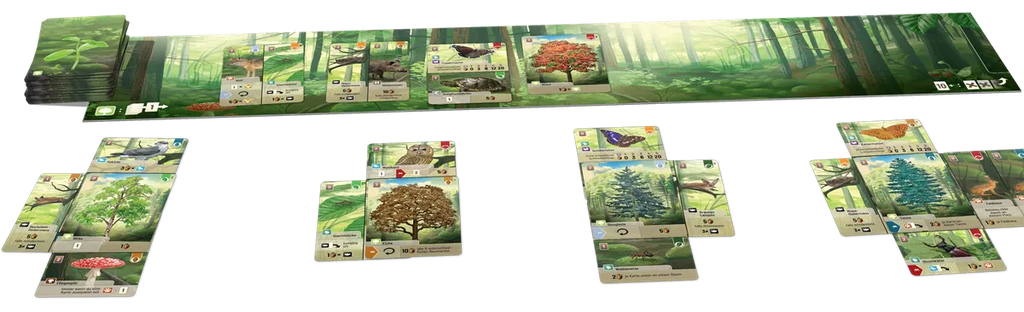 Forest Shuffle (Svenska) – Brädspel om att bygga din egen skog